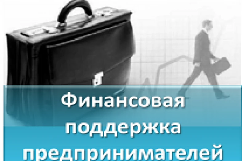 Финансовая поддержка субъектов малого и среднего предпринимательства в Нижегородской области
